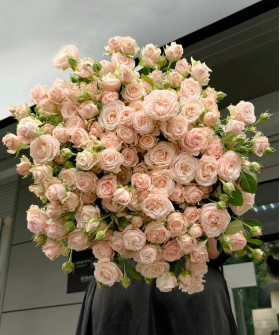 25 кустовых кремовых роз Софи под ленту №4540