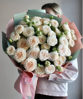 9 кремовых кустовых роз Софи в букете №8769