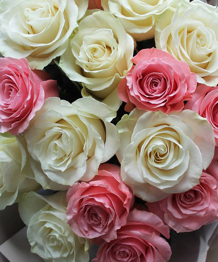 15 белых и розовых роз Мондиаль и Би Свит №3459