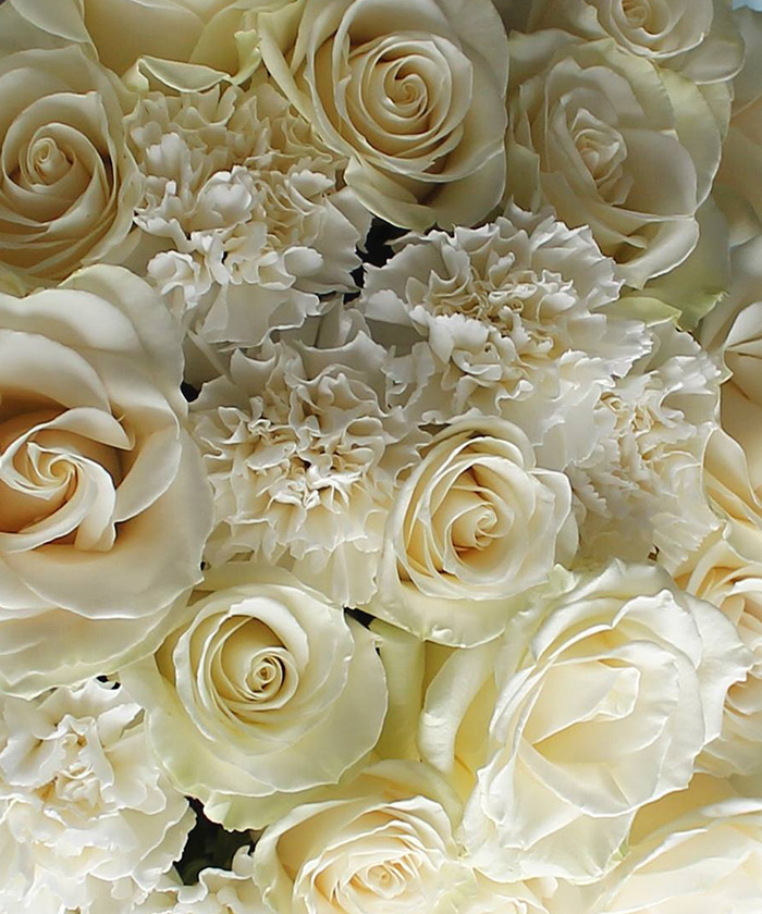 19 белых роз Мондиаль и белые диантусы №3149