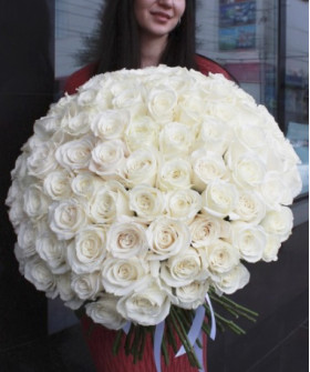 101 белая пионовидная роза Плая Бланка №1092