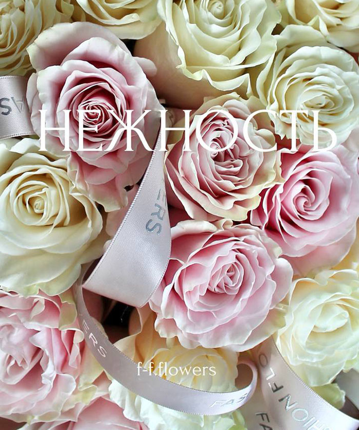 35 бело-розовых роз Эквадор №4575