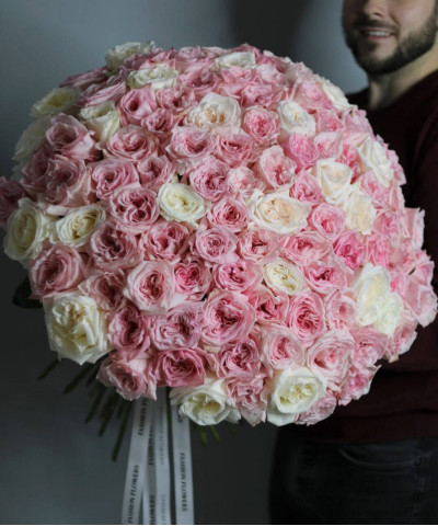 101 пионовидная роза Охара №4559