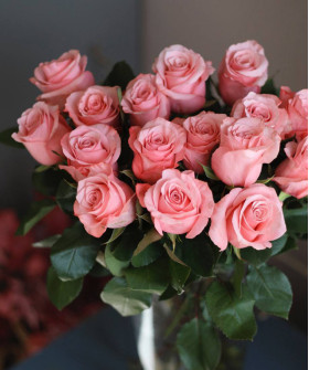 Роза розовая Би Свит, поштучно