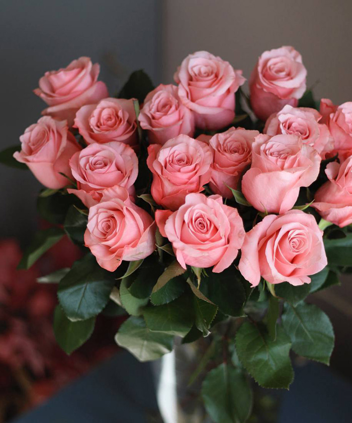 Роза розовая Би Свит, поштучно