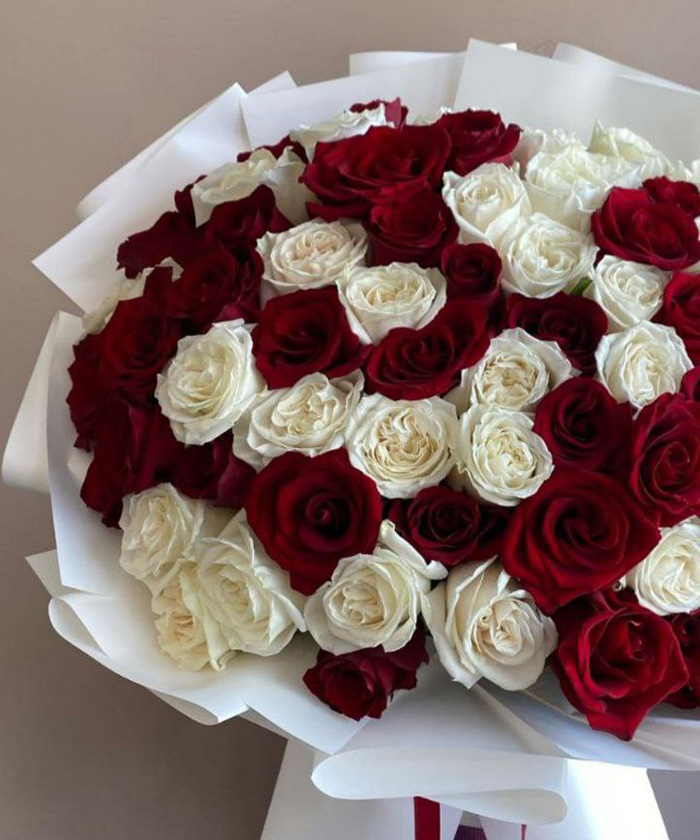 55 бело-красных роз №2683