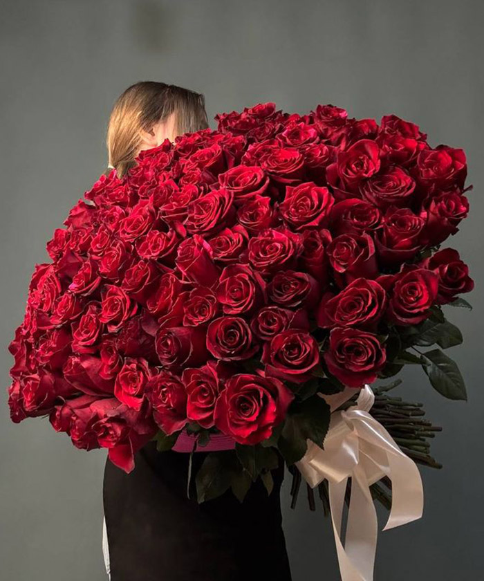 101 красная роза Эксплорер №1010156