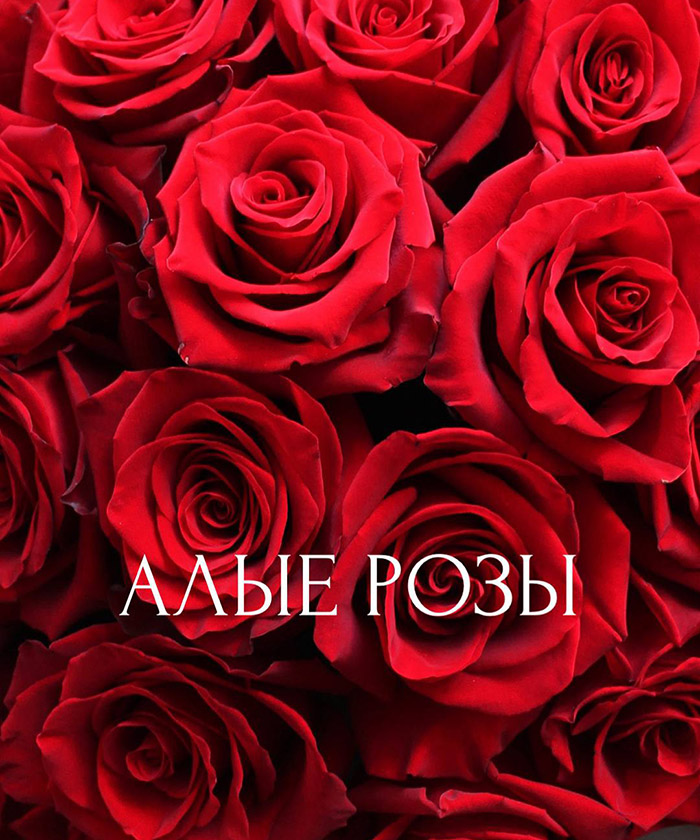 21 красная роза Эксплорер №2515