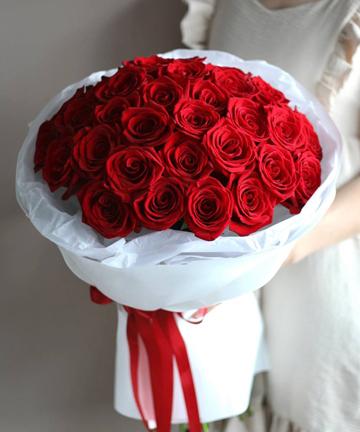 31 красная эквадорская роза Фридом №3562