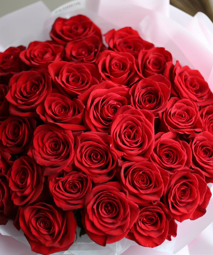 33 красные эквадорские розы Фридом №4542