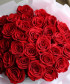 33 красные эквадорские розы Фридом №4542