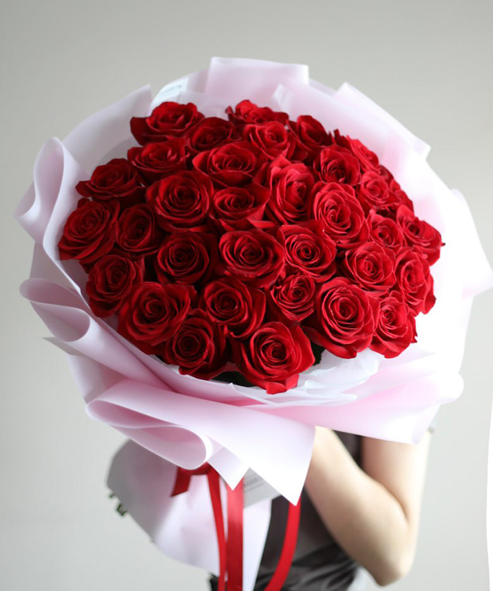 33 красные эквадорские розы Фридом №4542