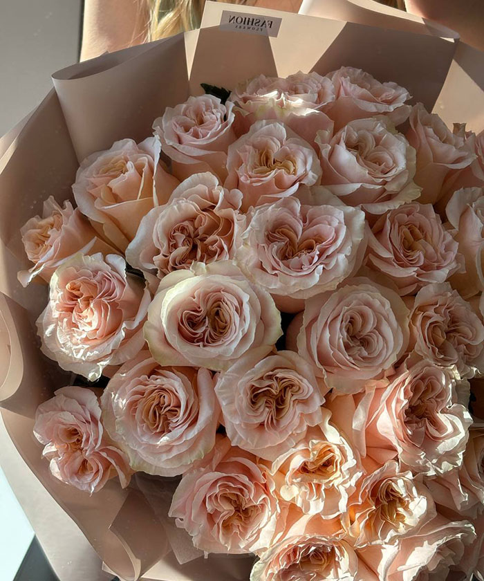 35 персиковых роз Шиммер №2985