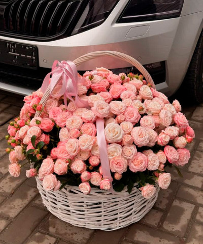 55 пудровых роз Мадам Бомбастик в корзине №6457