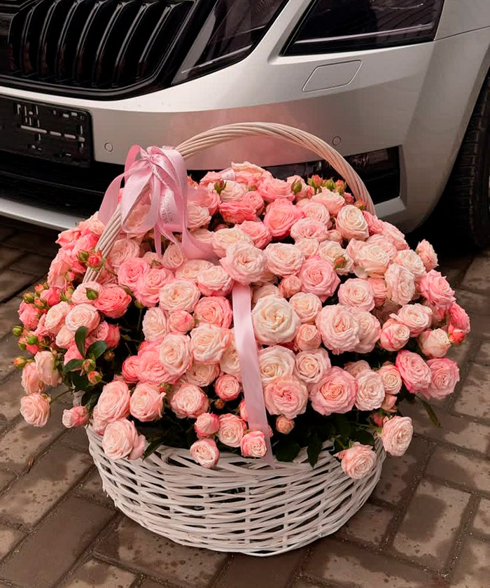 55 пудровых роз Мадам Бомбастик в корзине №6457