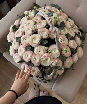 75 Итальянских ранункулюсов с эвкалиптом в корзине "Мишель" №5560