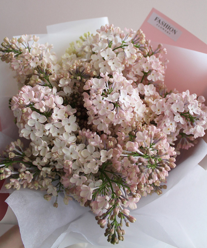 3 ветки розовой сирени Мейден Блаш №4782