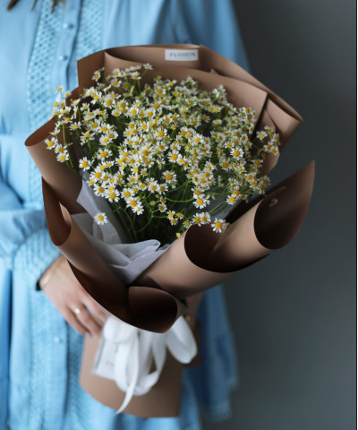 13 нежных ромашек танацетум №2159