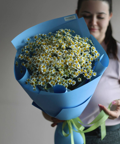 Ромашки танацетум 13шт. №4221