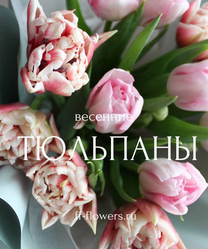 11 розовых тюльпанов №3681