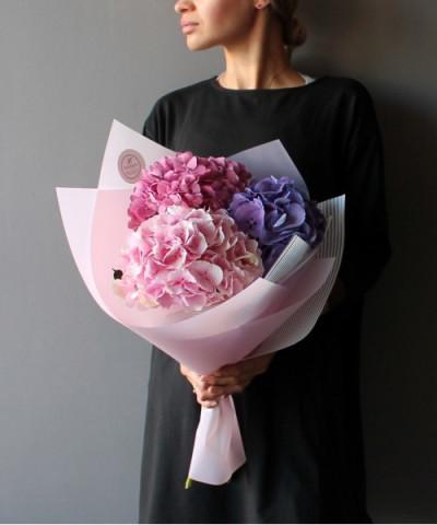 3 розово-фиолетовые гортензии №2739
