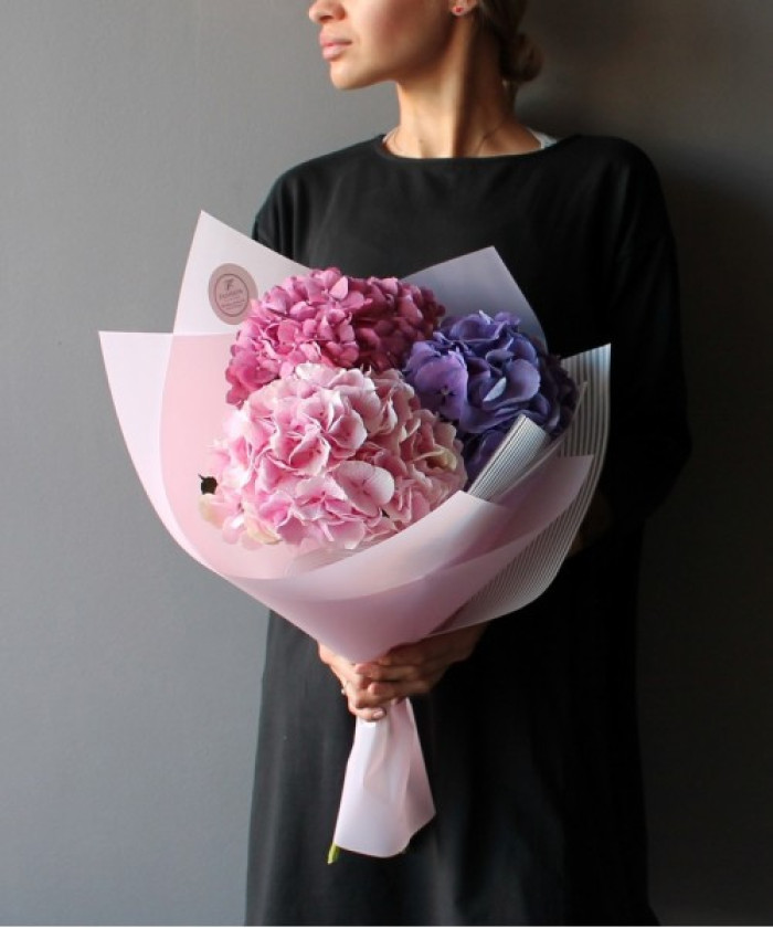 3 розово-фиолетовые гортензии №2739