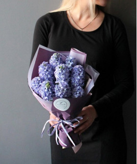 9 сине-фиолетовых гиацинтов Дельф блю №2471