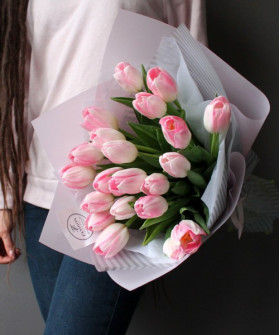 21 розовый тюльпан №2729