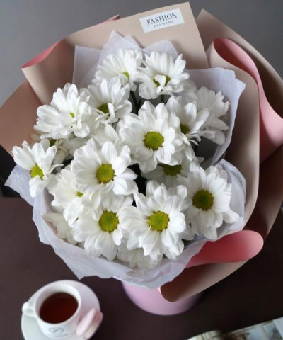3 белые ромашковые хризантемы Кеннеди №3063