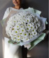 31 белая ромашковая хризантема Кеннеди №3071