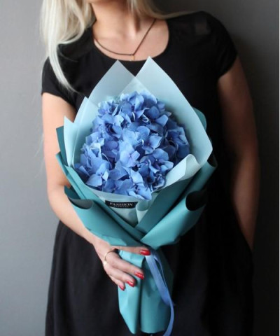 Синяя гортензия в фирменной упаковке №3016