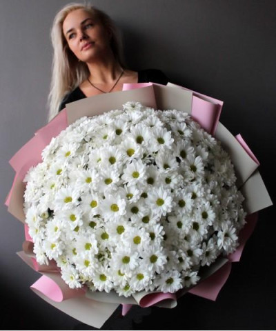35 белых ромашковых хризантем Кеннеди №3013