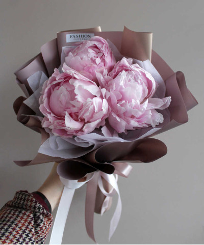 3 розовых пиона Сара Бернар №4671