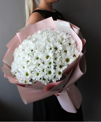 15 белых ромашковых хризантем Кеннеди №3133