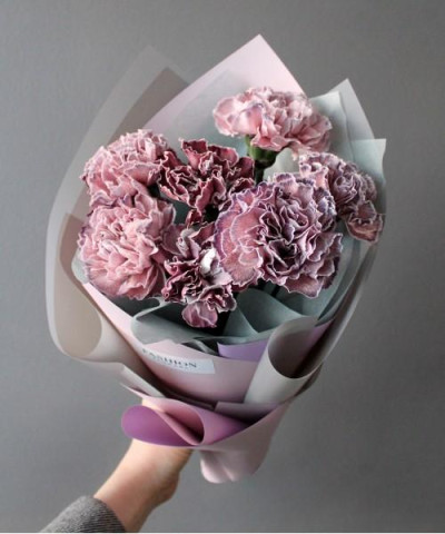 7 магических диантусов Тинтед  Молли №3142