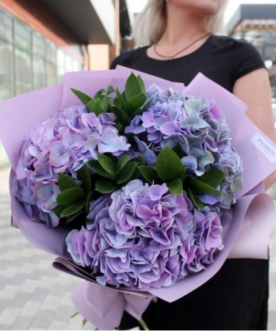 3 лиловые гортензии Дивайн №2669