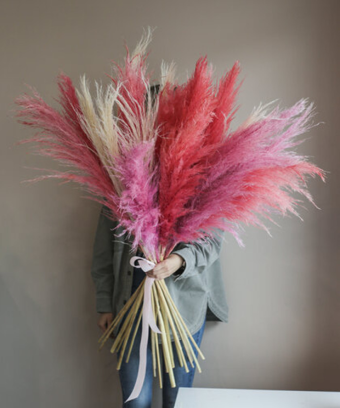 Кортадерия, пампасная трава, 1шт. №2547