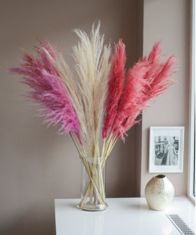 Кортадерия, пампасная трава, 1шт. №2547