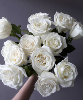 Роза Плая Бланка, поштучно