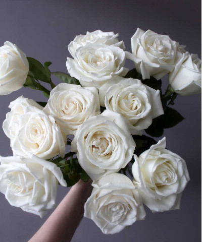 Роза Плая Бланка, поштучно