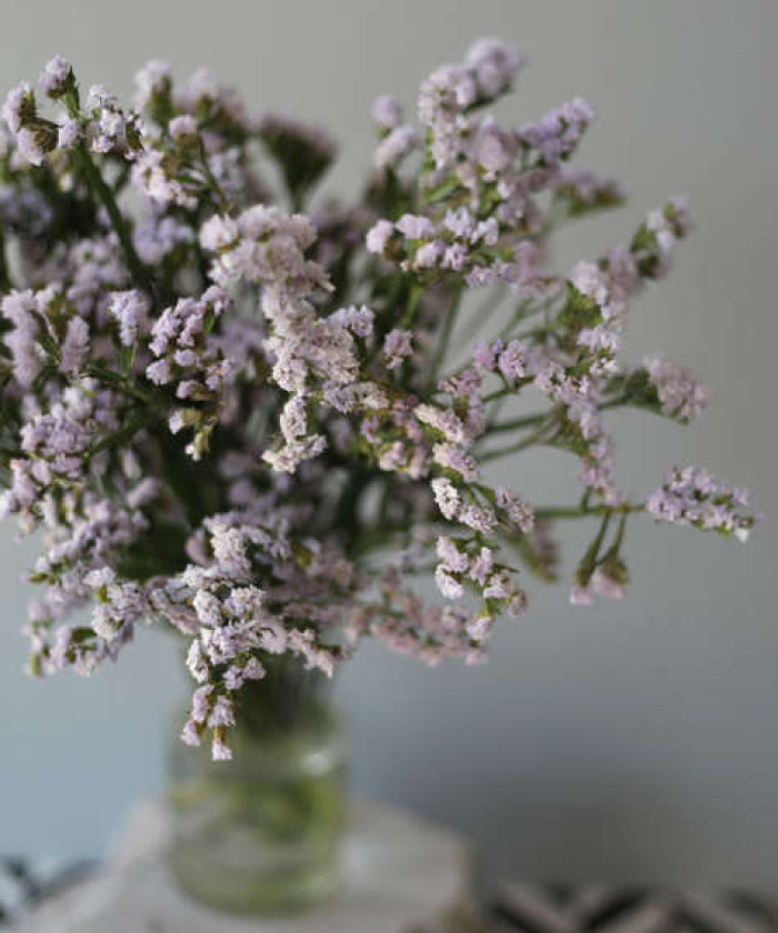 Статица сиреневая, поштучно