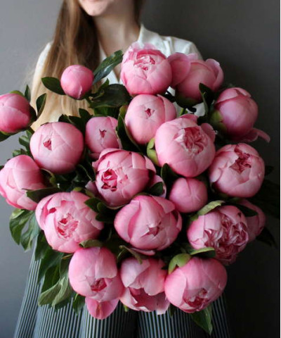 Пионы Этчет Сальмон