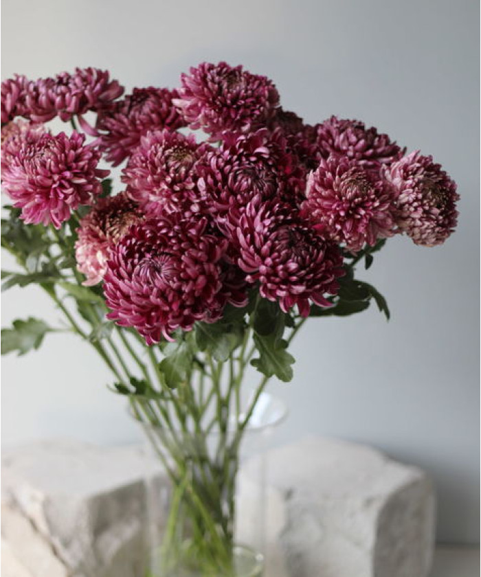 Бигуди хризантема одноголовая, поштучно