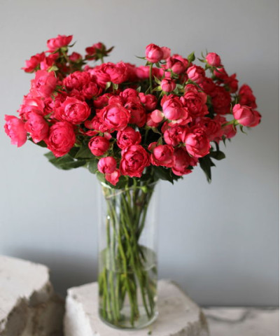 Джульетта цериз кустовая пионовидная роза