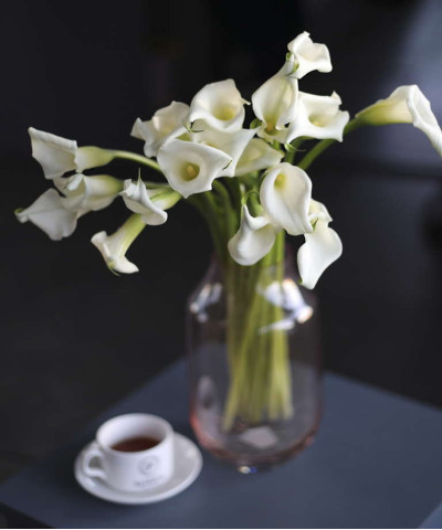 Каллы белые, поштучно