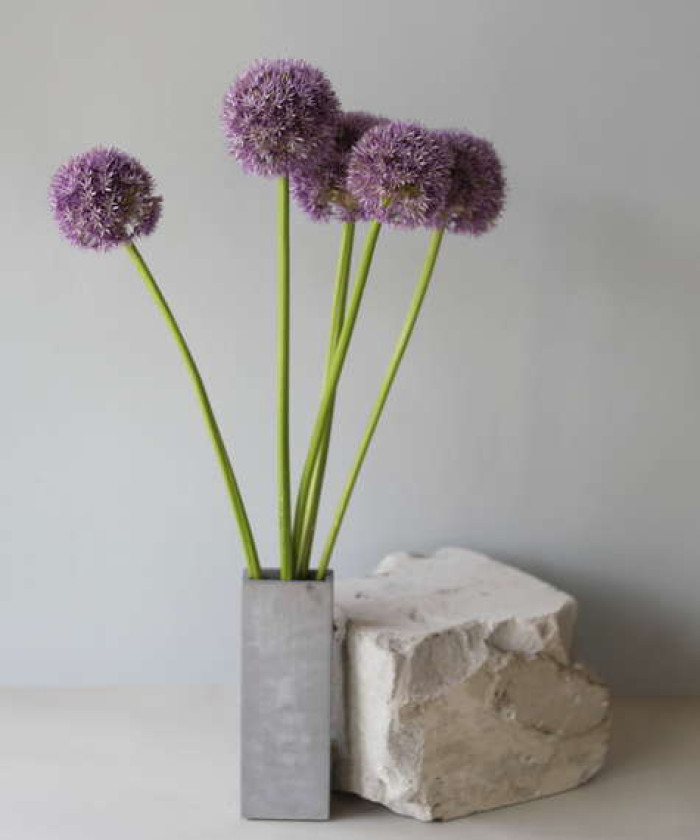 Аллиум, в ассортименте, поштучно