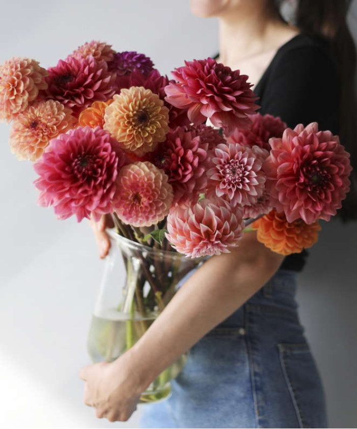 Георгины, в ассортименте, поштучно