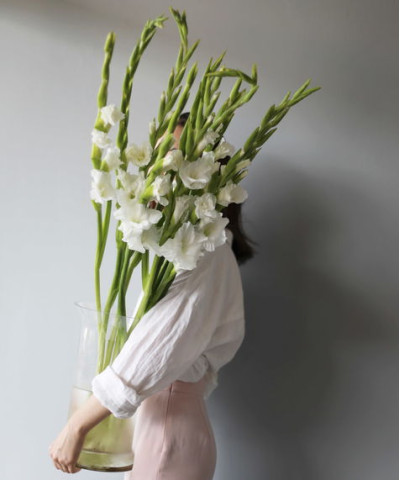 Гладиолусы, в ассортименте