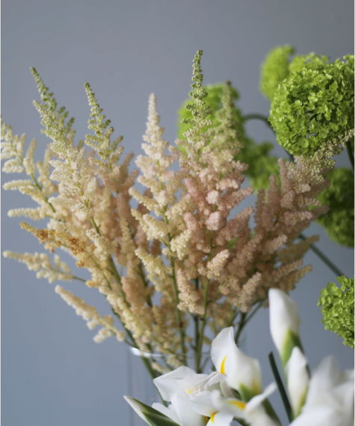 Астильба, в ассортименте, поштучно