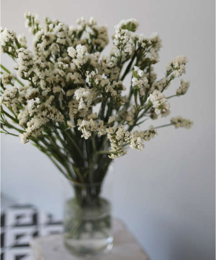 Статица белая, поштучно